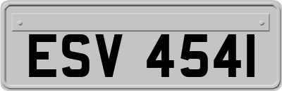ESV4541
