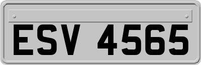ESV4565