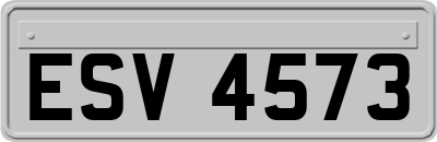 ESV4573