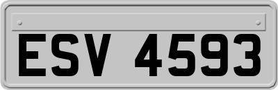 ESV4593