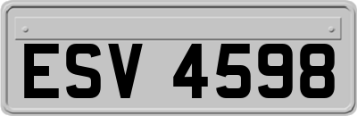 ESV4598