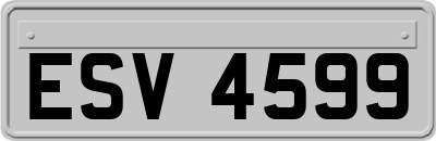 ESV4599