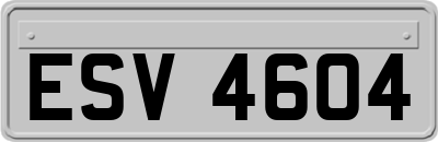ESV4604