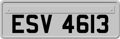 ESV4613
