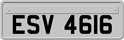 ESV4616