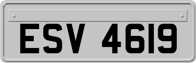ESV4619