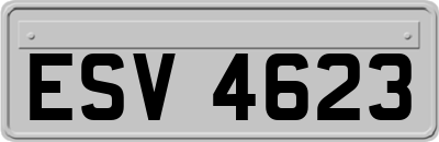 ESV4623
