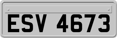 ESV4673