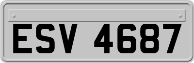 ESV4687