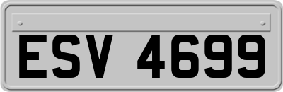 ESV4699