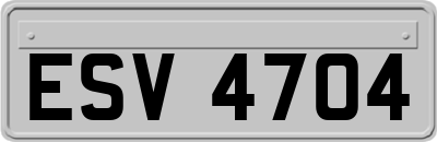 ESV4704