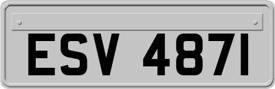 ESV4871