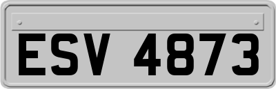 ESV4873
