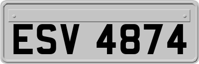 ESV4874