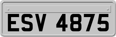 ESV4875