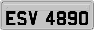 ESV4890