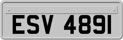 ESV4891