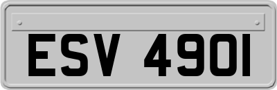 ESV4901