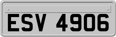 ESV4906