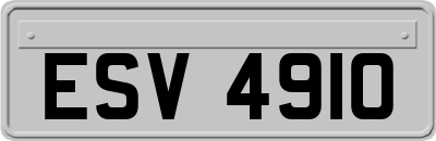 ESV4910