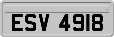 ESV4918
