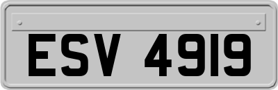 ESV4919