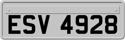 ESV4928