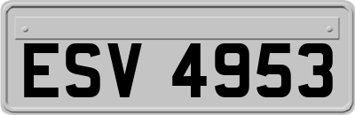 ESV4953