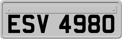 ESV4980