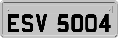 ESV5004