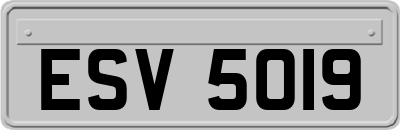 ESV5019