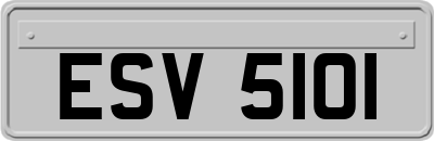 ESV5101