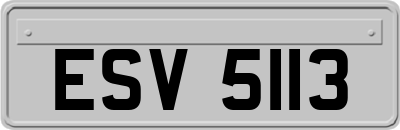 ESV5113