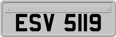 ESV5119