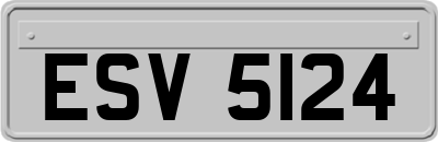 ESV5124
