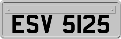 ESV5125