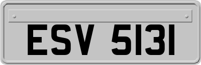 ESV5131
