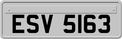 ESV5163