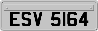 ESV5164