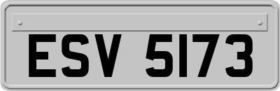 ESV5173