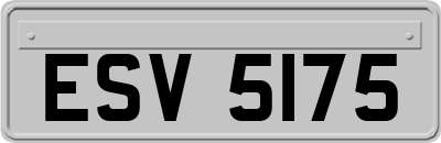 ESV5175