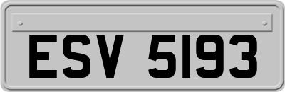 ESV5193