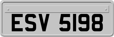 ESV5198