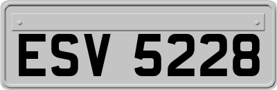 ESV5228