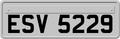 ESV5229