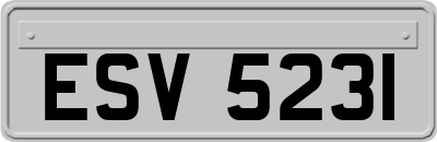 ESV5231