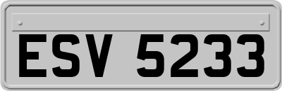 ESV5233