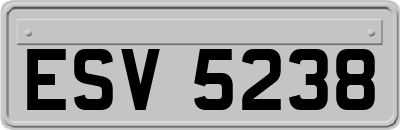 ESV5238