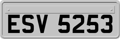 ESV5253