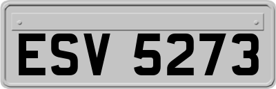 ESV5273